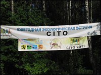 CITO-баннеры (c) Marikello