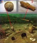 1) Морской пузырь (Цистоидея - Echinosphaerites aurantium), иглокожее животное, дальний родственник морских ежей и морских лилий. 2) Головоногий моллюск (Endoceras)