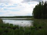 Озеро Полоновка, шли сюда полкилометра по болоту