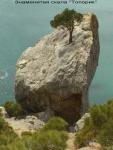 Камень-скала с растущей на ней одинокой сосной Станкевича