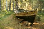 одинокая лодка в лесу