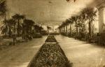 Зимний сад в Нарзанной галерее. Фото начала XX века