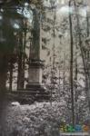 Таинственный обелиск в Ропшинском парке, ныне разрушен. Архивная фотография из фондов Ропшинского школьного краеведческого музея.