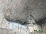 пещерный осьминог