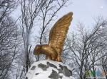 орел - почитаемая на Кавказе птица