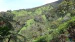 Подъём через лесную зону - барранкосы вулкана