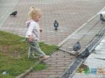 В Дмитрове полно бесстрашных голубей, что порадовало младшую дочь.