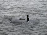 Затопленный объект: корпус легендарного крейсера?