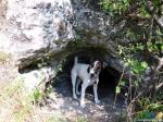 Размер входного отверстия пещеры как раз для собаки.