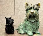 Слева живой реальный скотти, справа бронзовая Фала, любимая собака президента Рузвельта