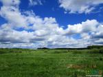 А это поле у Долгинихи. Облака потрясающие!