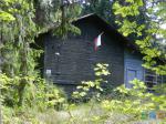  Интересный домик с триколором в лесу.