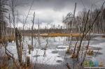 Черновское болото