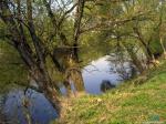 Река Жиздра у источников