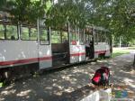 Трамвай на Петербургском шоссе. Жду на остановке автобуса в Малицкий монастырь