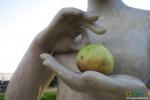 1-1 Говорят, в этом году собрали рекордный урожай яблок...  [TR/21989]