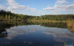 Озеро Щепкино болото, куда по автоской задумке приводят координаты в заголовке
