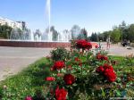 Рядом красивый фонтан и цветники с шикарными розами