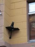 Котенок на стенке