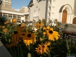 У церкви много цветов