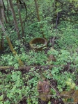 Колодезное кольцо в лесу
