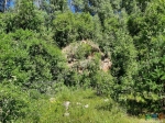 Малая скала (на 30 гр. левее от большой)