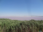Розовое озеро напротив