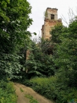 Вид руин церкви с дороги