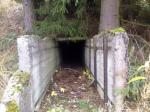 Кабель-тоннель ведет в недра бункера
