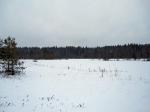 Шишковское озеро в серий зимний день