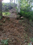 Тайник под камнем в корнях березы на 1,5 метра ниже пня в сторону Байкала