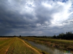 После дождя застал радугу над каналом Волга-Уводь