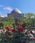 Алые розы в Голубой Мечети