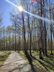 Весна в городском парке Волгореченска.
