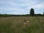 это и есть поле. трава такая высокая, что скутер едва видно.