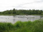 Вид на речку с болота