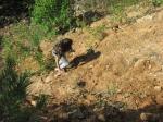 Наш юный геокешер лезет по склону