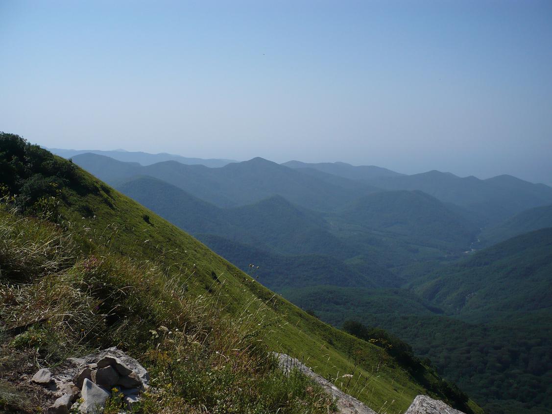 В мире шакалов :: Геокэшинг